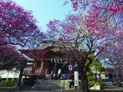 神明社の写真1