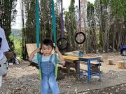 ごきげんブルーベリーファームの写真4