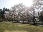 桜谷公園の写真1