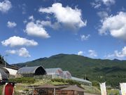 杤本農園の写真4