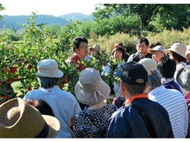 平塚果樹園