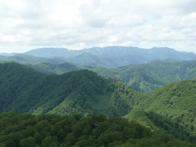 小岳の写真1