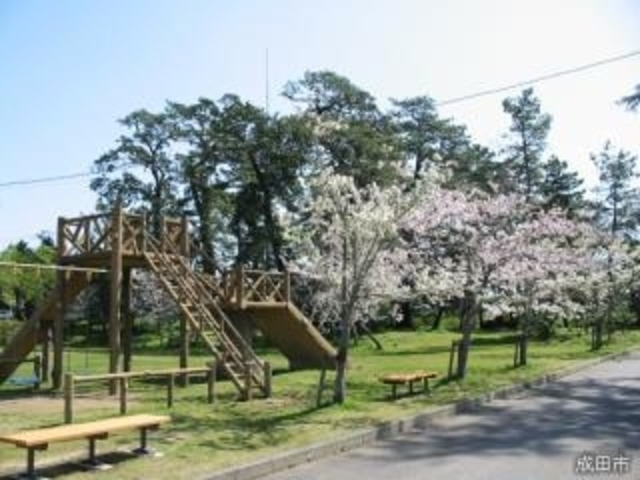 甚兵衛公園の桜の写真1