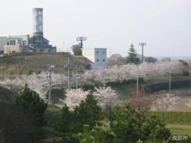 下総運動公園キャンプ場