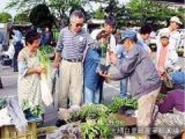 大網白里市朝市の写真1