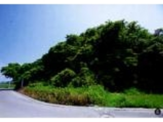 新居見城跡の写真1