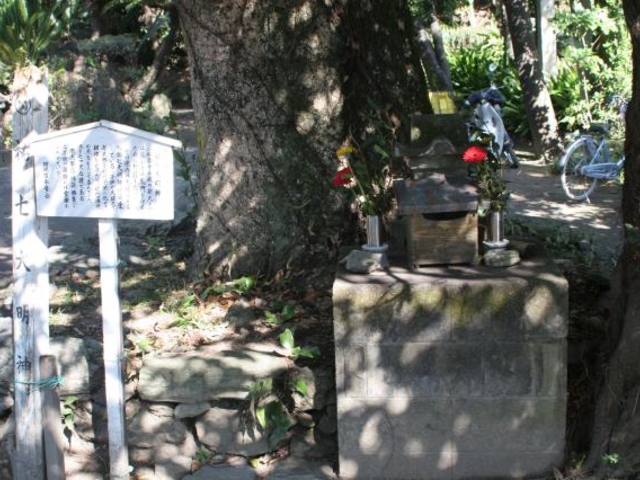 弁財天祐七大明神の祠の写真1