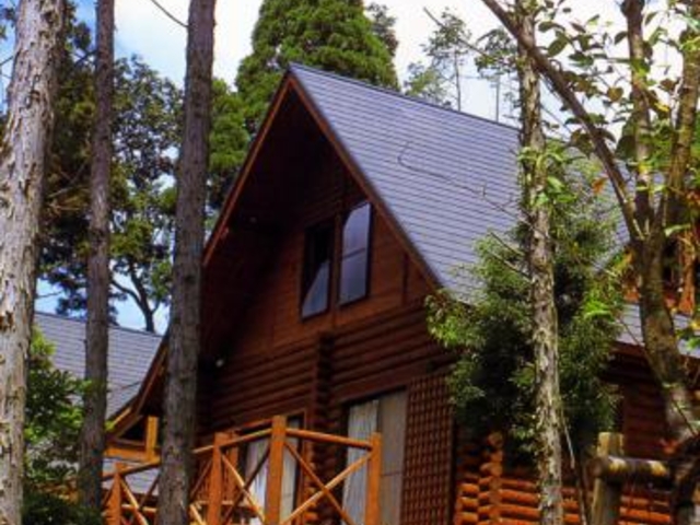 岩屋公園キャンプ場の写真1