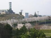 下総運動公園キャンプ場の写真1