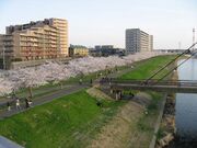 新川遊歩道の写真1