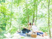 一般社団法人南丹市美山観光まちづくり協会の写真3