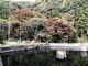 宇遠木滝渓流センター の写真4