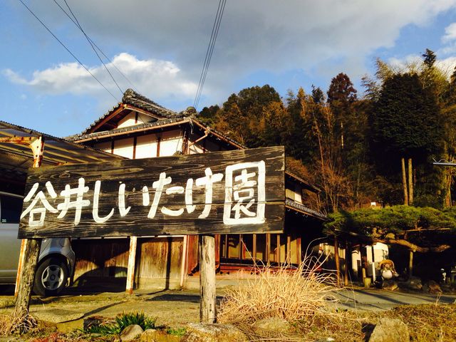 谷井しいたけ園の写真2