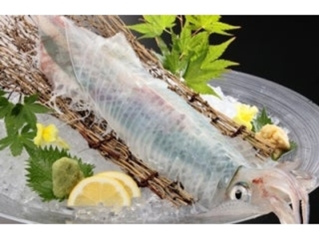 活イカ姿造り_和風レストランあまのゆ