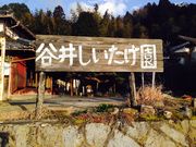 谷井しいたけ園の写真1