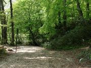 新甲子遊歩道の写真2