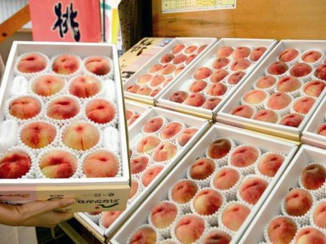 高津桃直売所の写真1