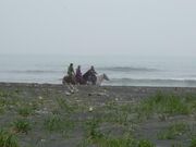 OK Ranchの写真3