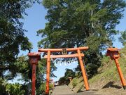 坂元神社(蓑首城跡)の写真2