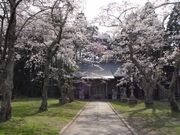 坂元神社(蓑首城跡)の写真1