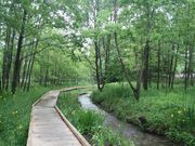 清水洞の上公園の写真1
