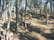 勝賀城跡の写真2