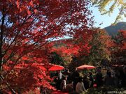 法泉寺の写真2