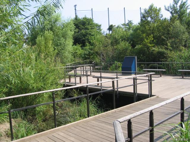 赤羽自然観察公園