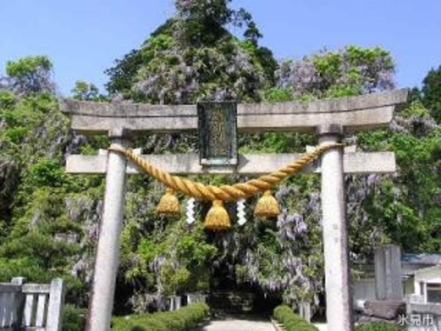 磯部神社の写真1