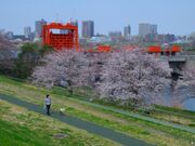旧岩淵水門の写真2
