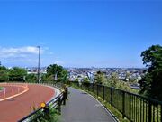 よみうりV通りの写真1