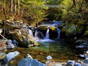 すげのレジャー(キャンプ))の写真2