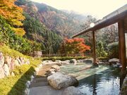 奥山温泉の写真1