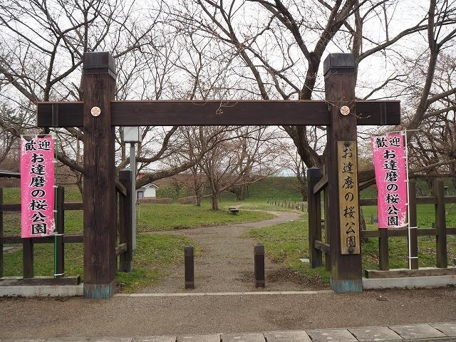 お達磨の桜公園の写真1