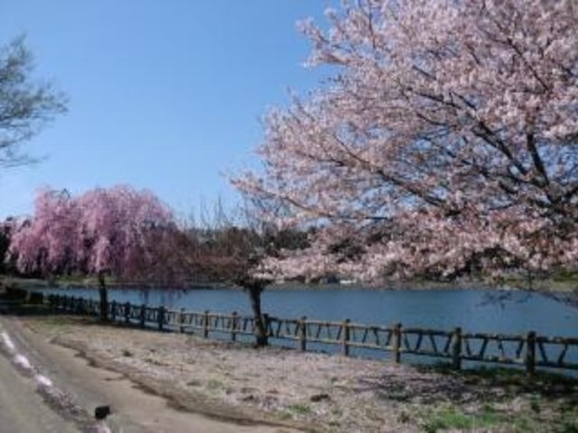 唐桶宗山公園(唐桶の溜)の写真1