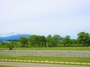 最上川中山緑地(運動広場など)の写真3