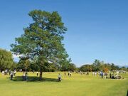 ひまわりグラウンド・ゴルフ場の写真2