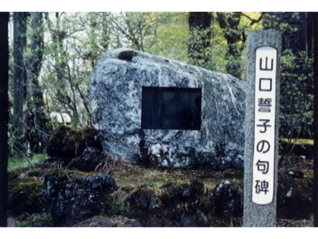 山口誓子句碑の写真1