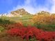 中央アルプス千畳敷の紅葉の写真4