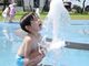 海浜公園の写真4