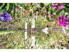 チームラボプラネッツ TOKYO DMMの写真1