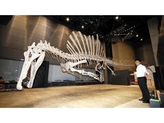 獣脚類2025〜「フクイ」から探る恐竜の進化〜の写真1