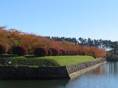 五稜郭公園の紅葉の写真1