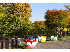 小樽公園の紅葉の写真1