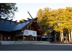 北海道神宮の紅葉の写真1