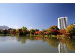 中島公園の紅葉の写真1