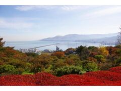 手宮公園の紅葉の写真1