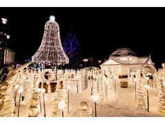白い恋人パーク スイートイルミネーション〜Blooming Snow Fantasy〜の写真1