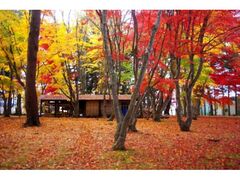 見晴公園の紅葉の写真1