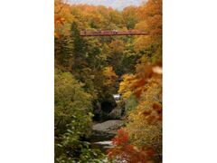 岩内仙峡の紅葉の写真1